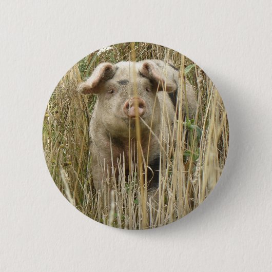 Knuffel gevlekt varken knop ronde button 5,7 cm (Voorkant)