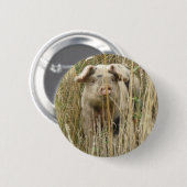 Knuffel gevlekt varken knop ronde button 5,7 cm (Voorkant /achterkant)