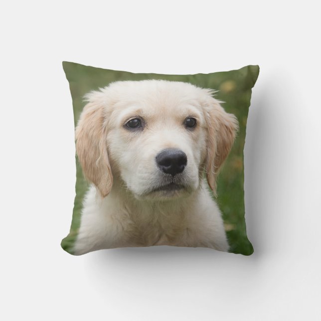 Knuffel Hond Dekenkussen Kussen (Voorkant)