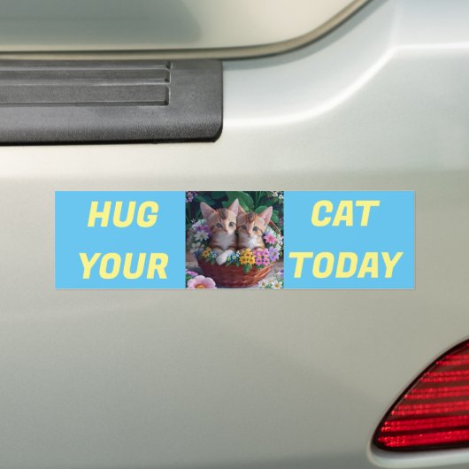 Knuffel je kat vandaag bumpersticker (Op auto)
