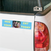 Knuffel je kat vandaag bumpersticker (Op Truck)