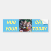 Knuffel je kat vandaag bumpersticker (Voorkant)