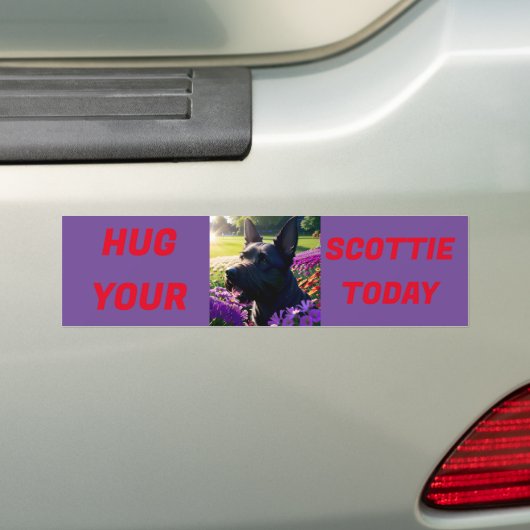 Knuffel je Scottie vandaag Bumpersticker (Op auto)