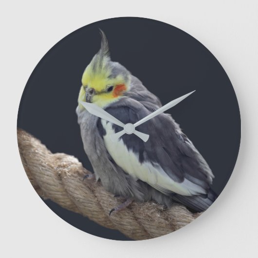 Knuffel Koketiel Wandklok (Voorkant)