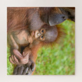 Knuffel van de gekoesterde orang-oetan moeder legpuzzel (Horizontaal)