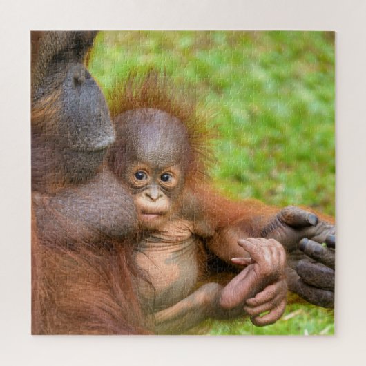 Knuffel van de gekoesterde orang-oetan moeder legpuzzel (Verticaal)