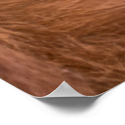 Knuffel van de gekoesterde orang-oetan moeder poster (Hoek)