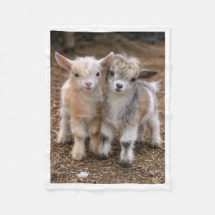 Knuffeldekens met schattige geiten Boerderijdieren Fleece Deken