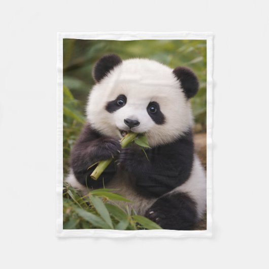 Knuffeldekentje met Mopshondje Panda dat Bamboe Ee Fleece Deken (Voorkant)