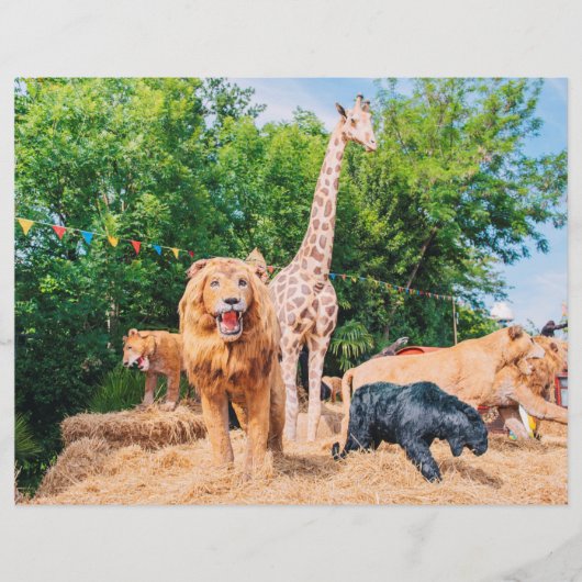 Knuffeldieren Flyer (Voorkant)