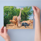 Knuffeldieren Flyer (Hand)