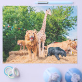 Knuffeldieren Flyer (Enkel)