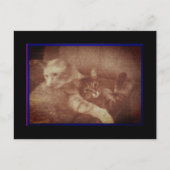 Knuffelen Katten Briefkaart (Voorkant)