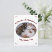 Knuffelen Katten Purfect Life Happy Valentines Day Feestdagenkaart (Staand voorkant)