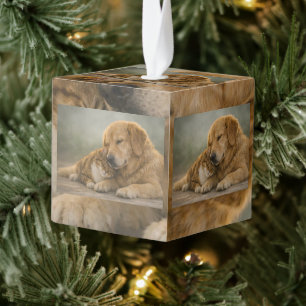 Knuffelende hond en kat aangepaste foto kubus orna decoratie
