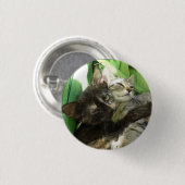 Knuffelende jonge katjes ronde button 3,2 cm (Voorkant /achterkant)
