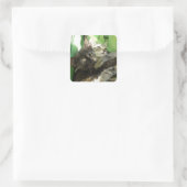 Knuffelende jonge katjes vierkante sticker (Tas)