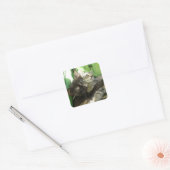 Knuffelende jonge katjes vierkante sticker (Envelop)