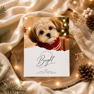 Knuffelig & Helder Gescheurde Rand Puppy Kerst Fot Feestdagenkaart