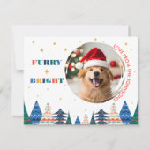 Knuffelig & Mooie Foto van een Hond Feestdagenkaart (Voorkant)