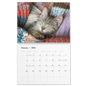 Knuffelig schattig katje huisdier Kitty Cats Felin Kalender (Feb 2026)