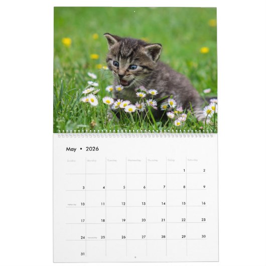 Knuffelig schattig katje huisdier Kitty Cats Felin Kalender (Mei 2026)