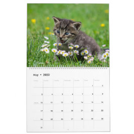 Knuffelig schattig katje huisdier Kitty Cats Felin Kalender