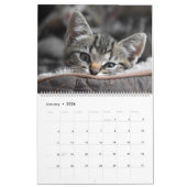 Knuffelig schattig katje huisdier Kitty Cats Felin Kalender (Jan 2026)