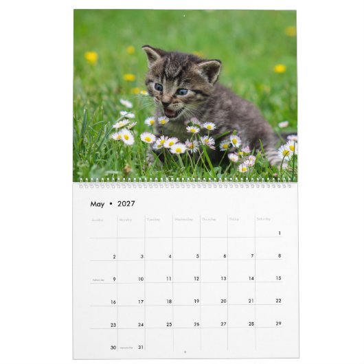 Knuffelig schattig katje huisdier Kitty Cats Felin Kalender (Mei 2027)