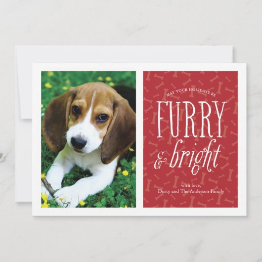 Knuffelige en heldere huisdier fotokaart feestdagenkaart (Voorkant)