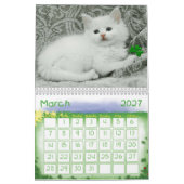 Knuffelige Kittens Kalender (Mar 2027)
