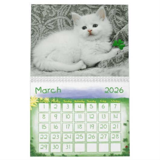 Knuffelige Kittens Kalender (Mar 2026)