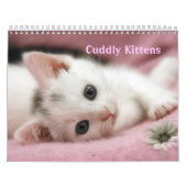 Knuffelige Kittens Kalender (Hoes)