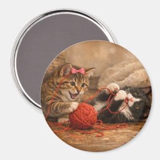 Knuffelige Kittens Spelen met Garentje Ronde Magne Magneet