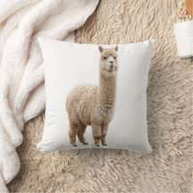 Knuffelige Realistische Fluffy Alpaca Foto Worp Ku