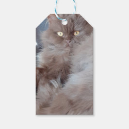 Knuffelkat cadeaukaart cadeaulabel
