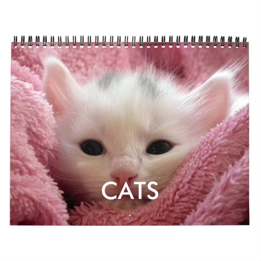 Knuffelkat Kalender Roze Kat Liefhebber (Hoes)