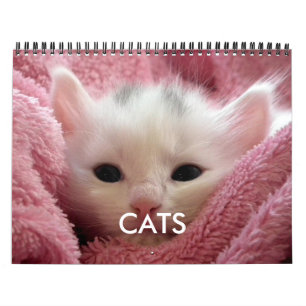 Knuffelkat Kalender Roze Kat Liefhebber