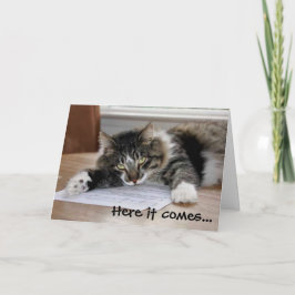 Knuffelkat Vaderdag Kaart