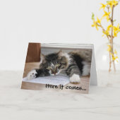 Knuffelkat Vaderdag Kaart (Gele Bloem)