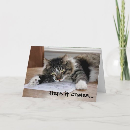 Knuffelkat Vaderdag Kaart (Voorkant)