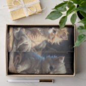 Knuffelkatjes Tissuepapier (Geschenk)
