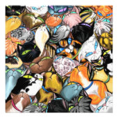 Knuffelkatten Poster (Voorkant)