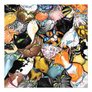 Knuffelkatten Poster