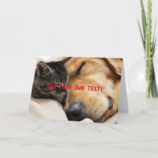 Knuffelkitten en puppy VOEG UW EIGEN TEKST TOE Kaart (Voorkant)