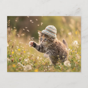 Knuffelkitten met muts speelt met paardenbloemen briefkaart