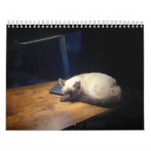 Knuffelkittenkalender voor 2026 kalender (Hoes)