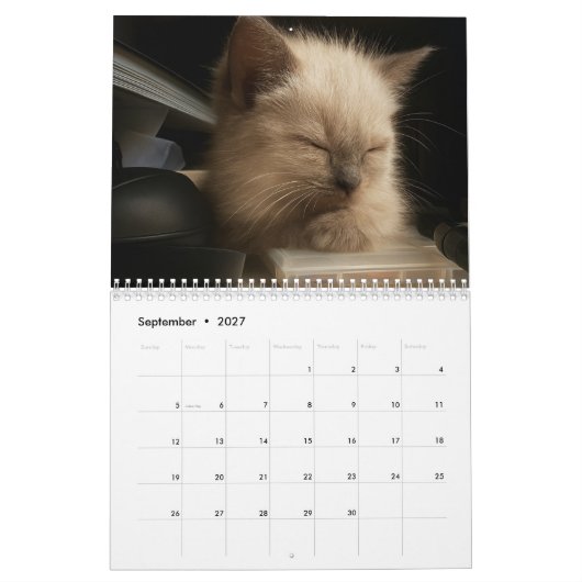 Knuffelkittenkalender voor 2026 kalender (Sep 2027)