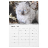 Knuffelkittenkalender voor 2026 kalender (Feb 2027)