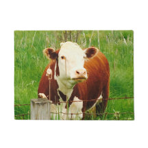 Knuffelkoe Bruine Groene Gras Deurmat